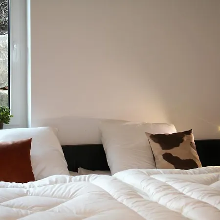 Roompot Daire